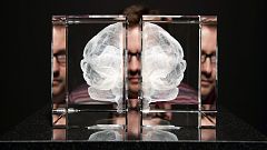Científicos españoles descubren cómo provocar que el cerebro se deshaga de la depresión