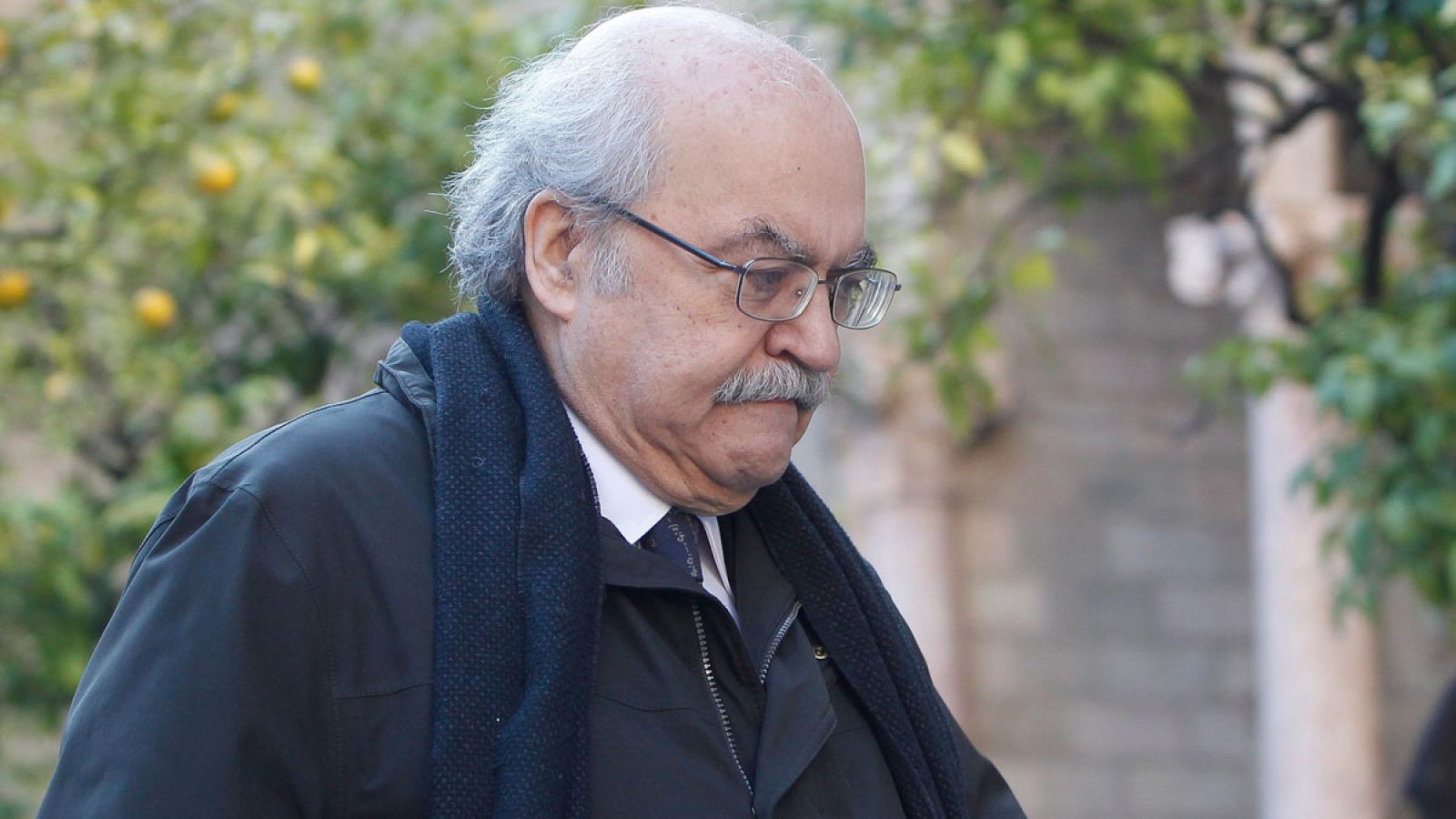 El conseller de Economía en funciones, Andreu Mas-Colell