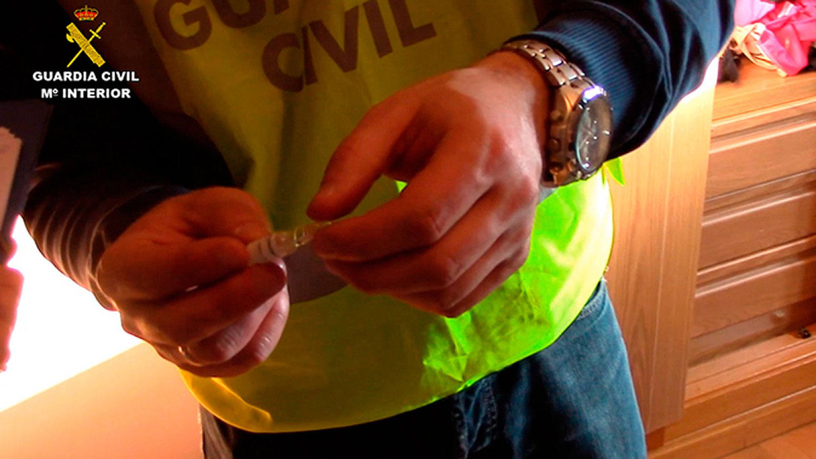 Diez detenidos como parte de una red que distribuía anabolizantes