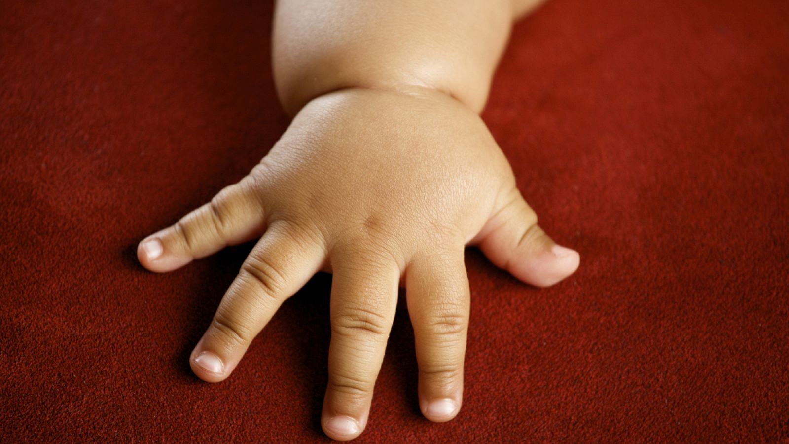 Los bebés pueden adquirir el riesgo de ser obesos a través de la alimentación materna durante el embarazo.