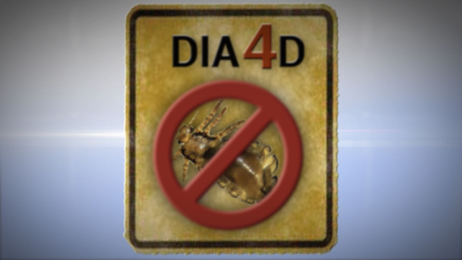 Esto es vida- Ojo al piojo