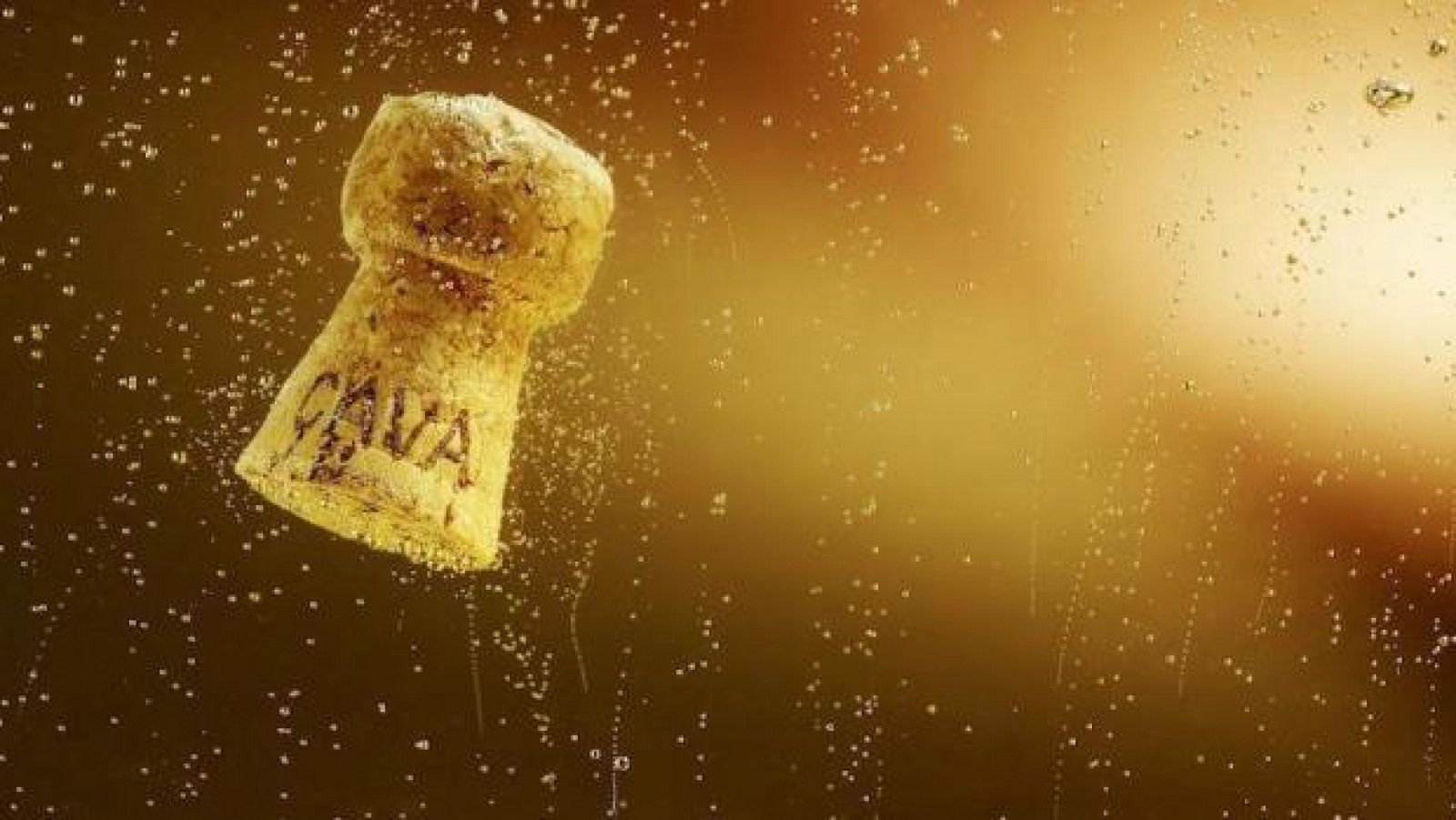 XIII Fiesta del Cava