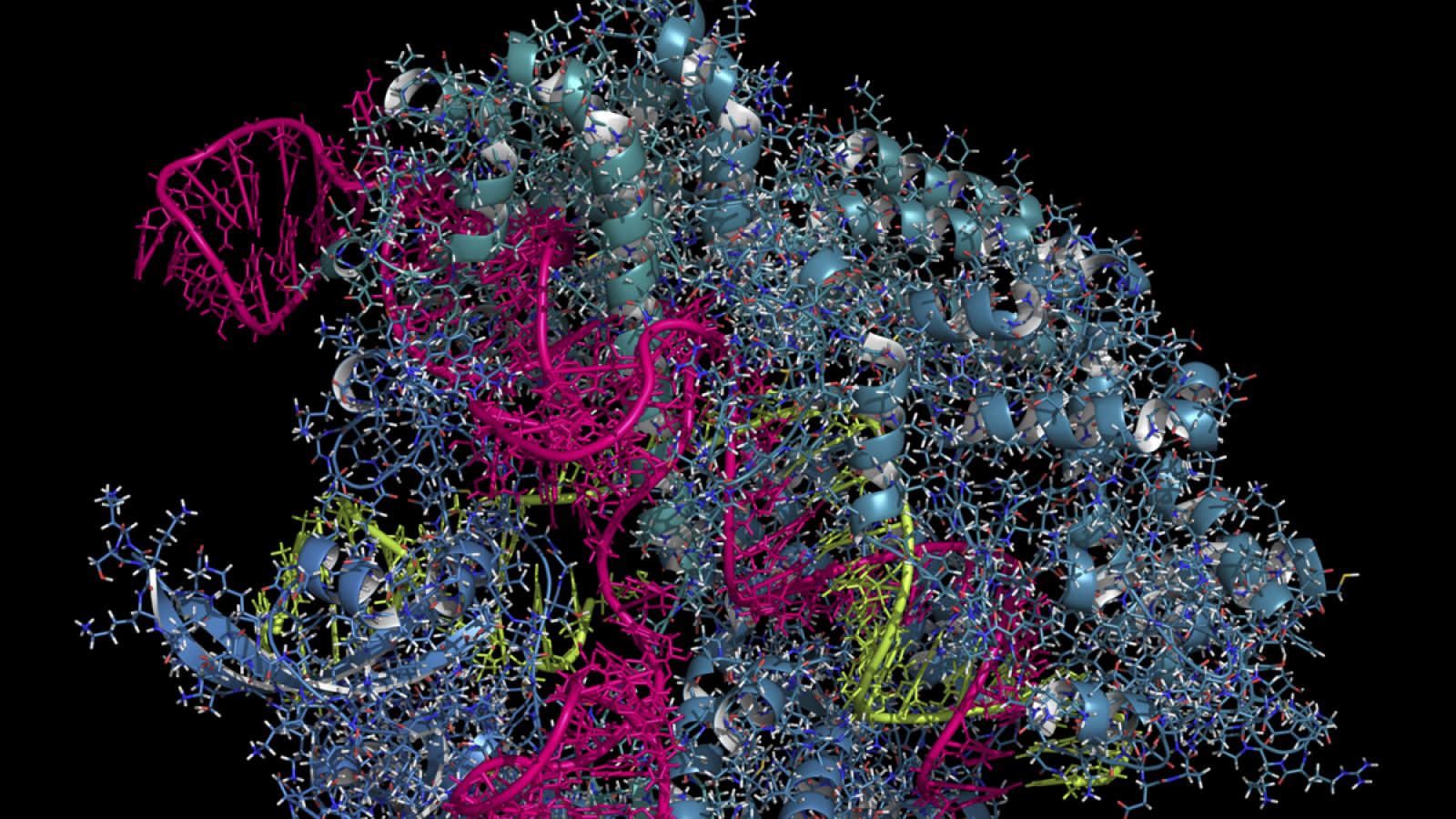 El método de edición genómica CRISPR tiene un bajo costo y es fácil de usar.