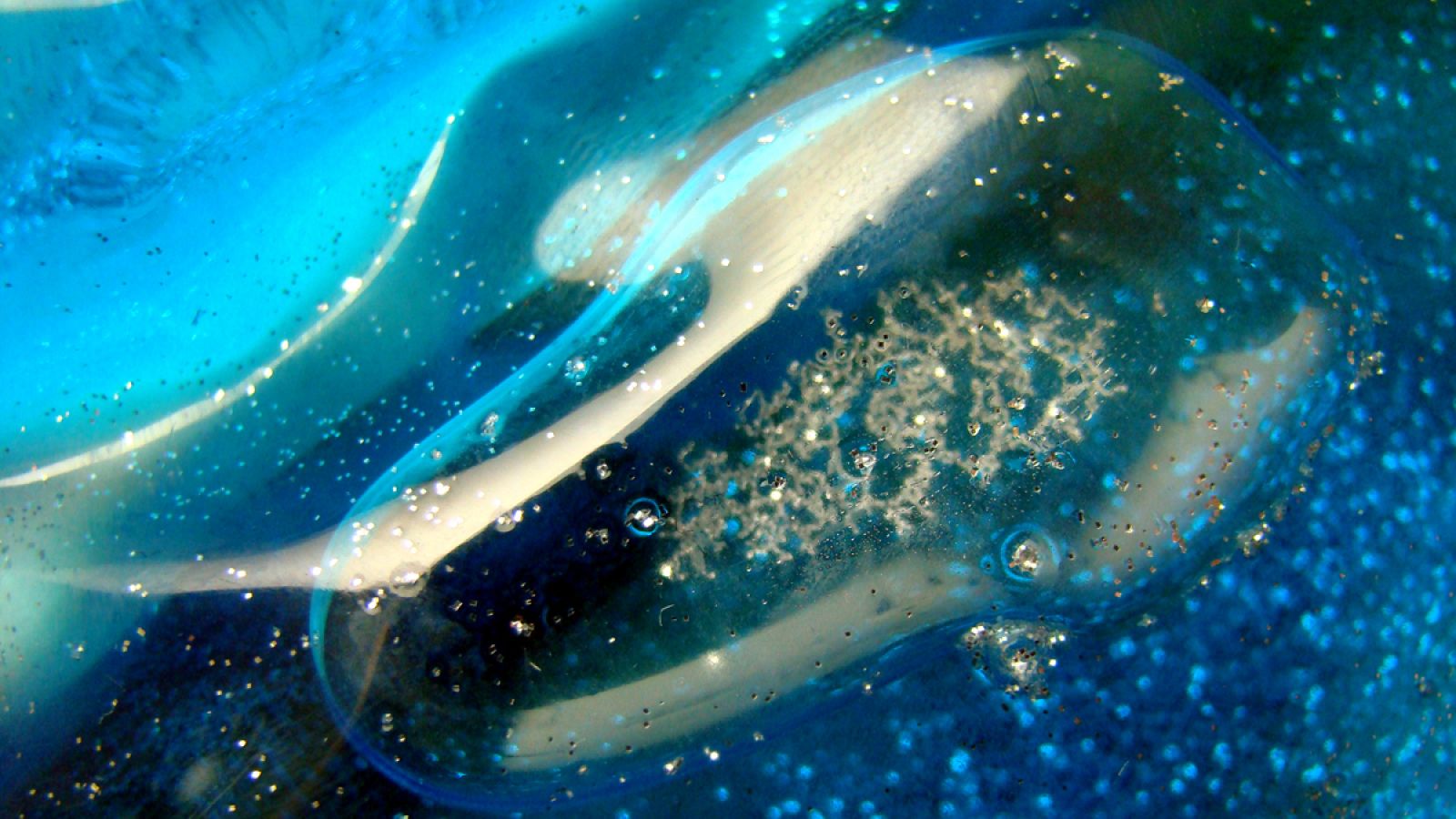 Los científicos asumen que es imposible saber cómo empezó realmente la vida en la Tierra.