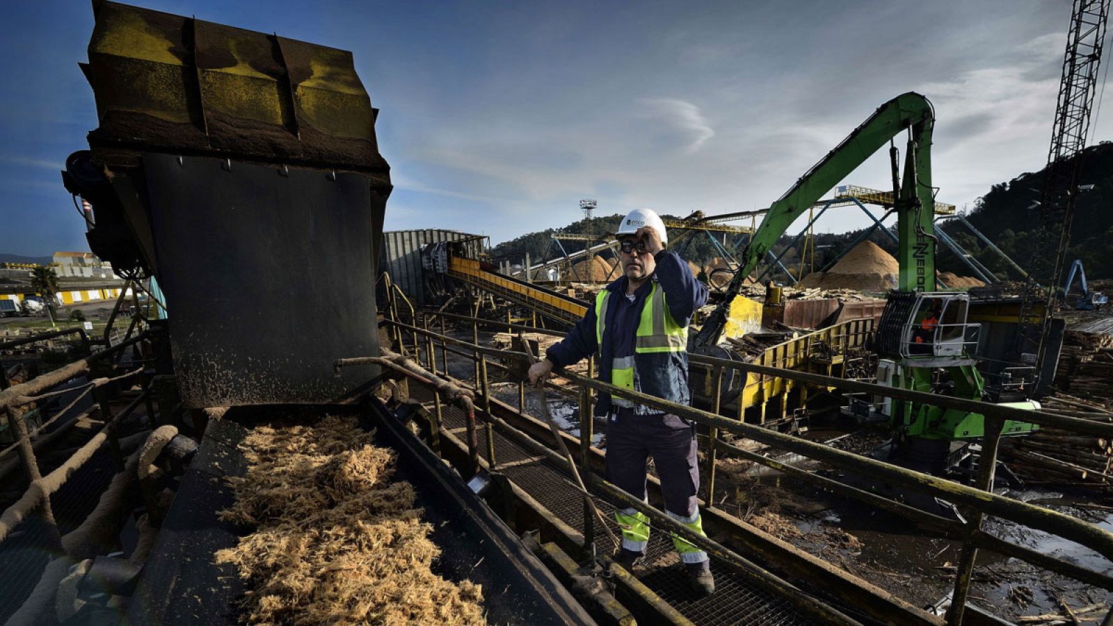 Un trabajador en una planta de biomasa