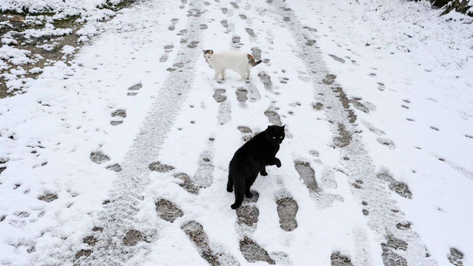 Nieve caída en una calle del pueblo de Laza, en Montederramo, en Ourense