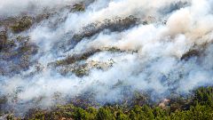 Más de 20 detenidos en seis comunidades por amañar contratos de incendios