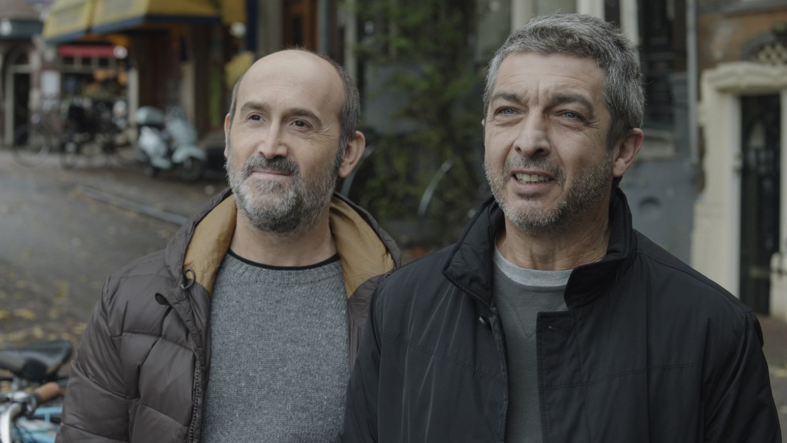 Javier Cámara y Ricardo Darín, nominados a mejor actor de reparto y mejor protagonista por 'Truman'.