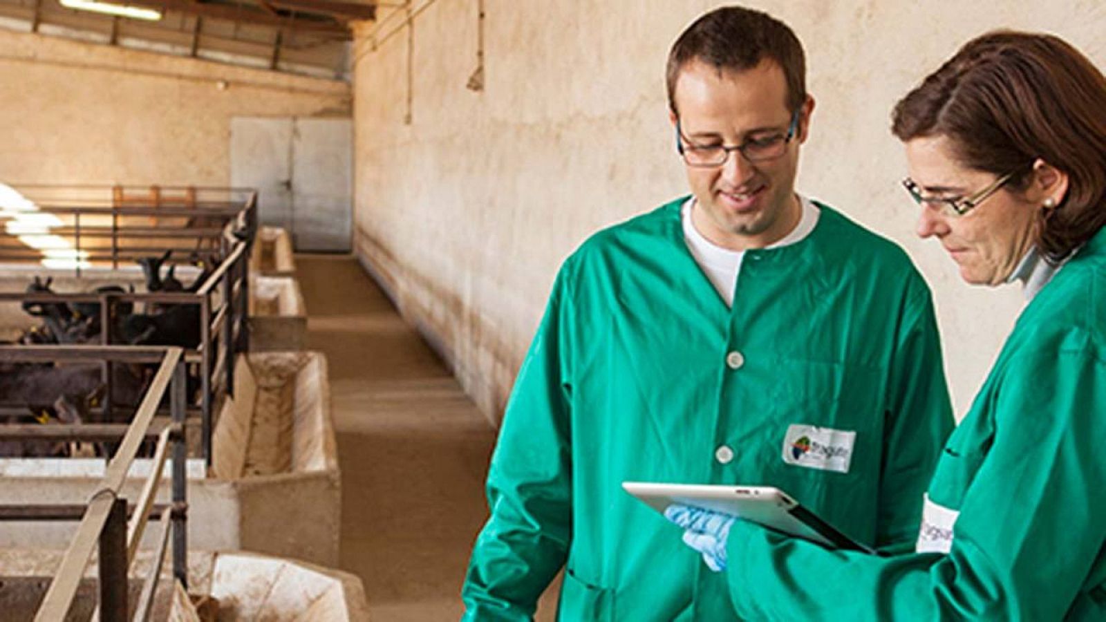 Dos veterinarios de Tragsa revisan los datos de una explotación ganadera