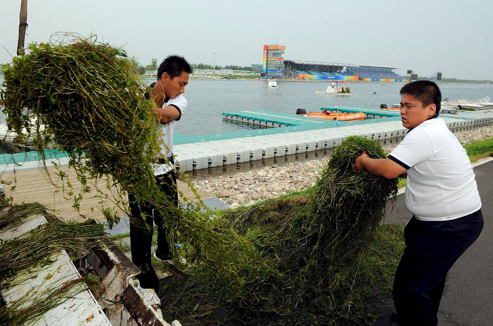 Lucha contra las algas
