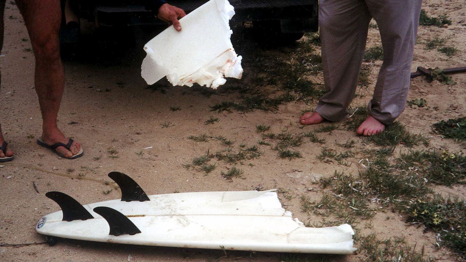 El incremento de los ataques no tiene que ver con una mayor agresividad de los escualos, según los expertos.