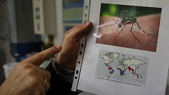 Australia confirma la infección de una embarazada con el virus Zika, que continúa su expansión