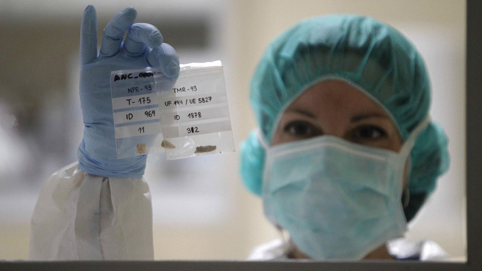 España es el país del área de la OCDE donde el descenso de las partidas de I+D+i ha sido más acusado.