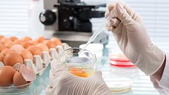 La UE alerta del aumento de las resistencias a antimicrobianos de las bacterias presentes en alimentos