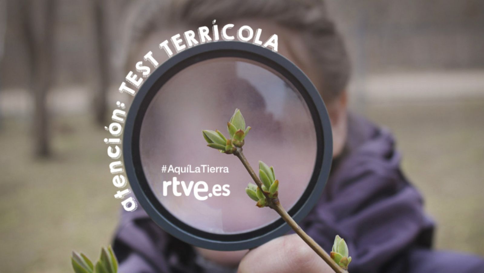 Aquí la tierra - Test