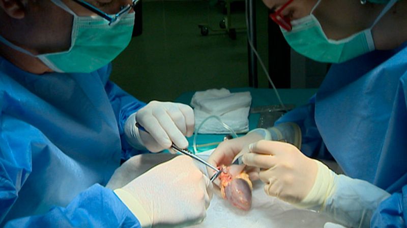 España supera los 100.000 trasplantes de órganos