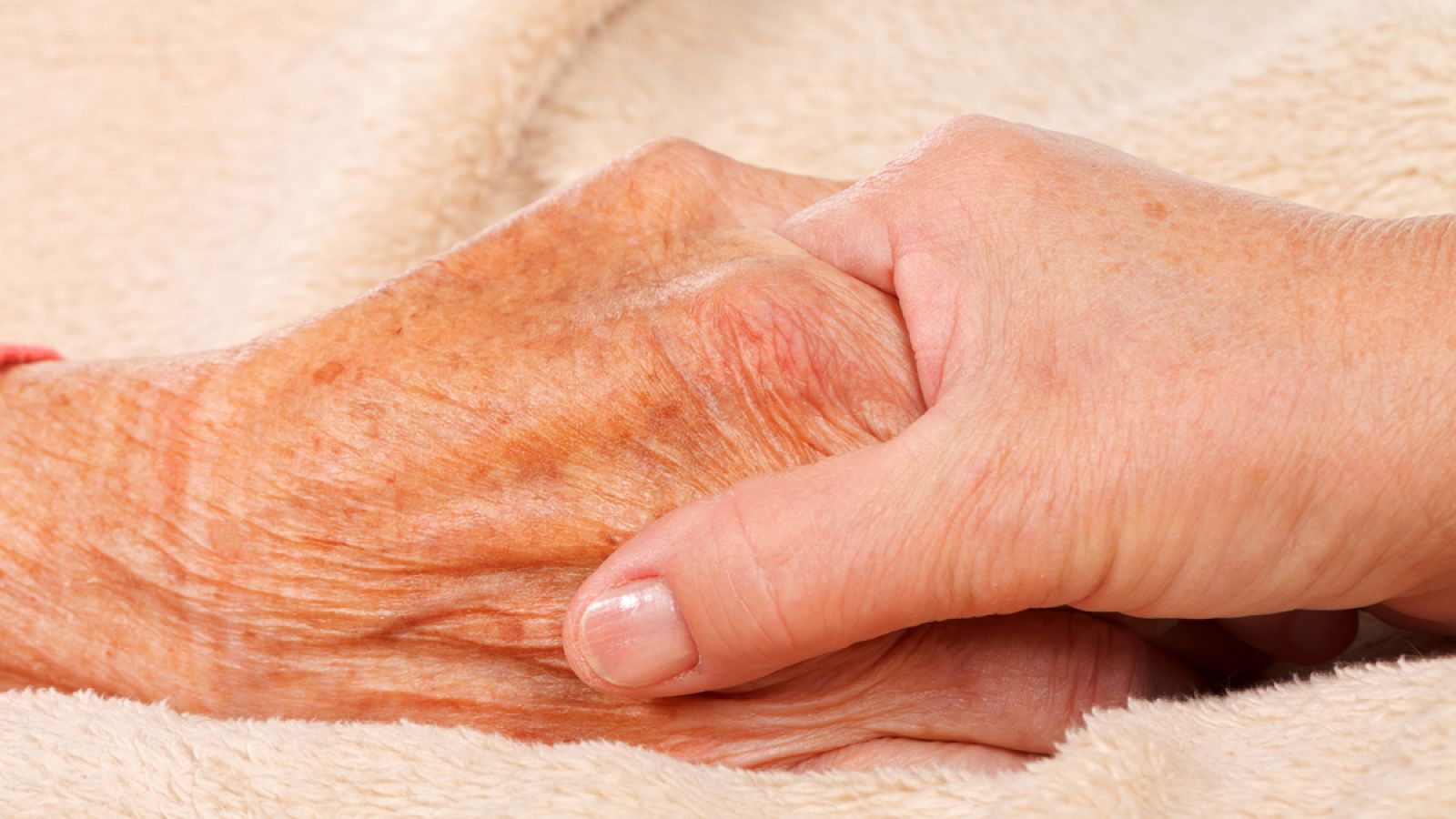 El perfil lipídico cerebral de personas con alzhéimer o párkinson es muy distinto al de personas sanas.