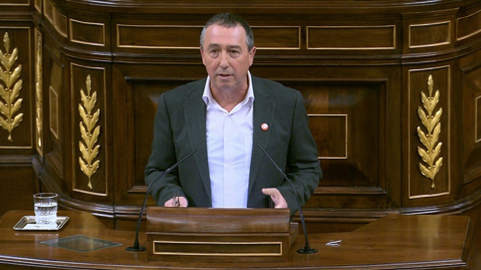 El portavoz de Compromís en el Congreso, Joan Baldoví, durante su intervención.