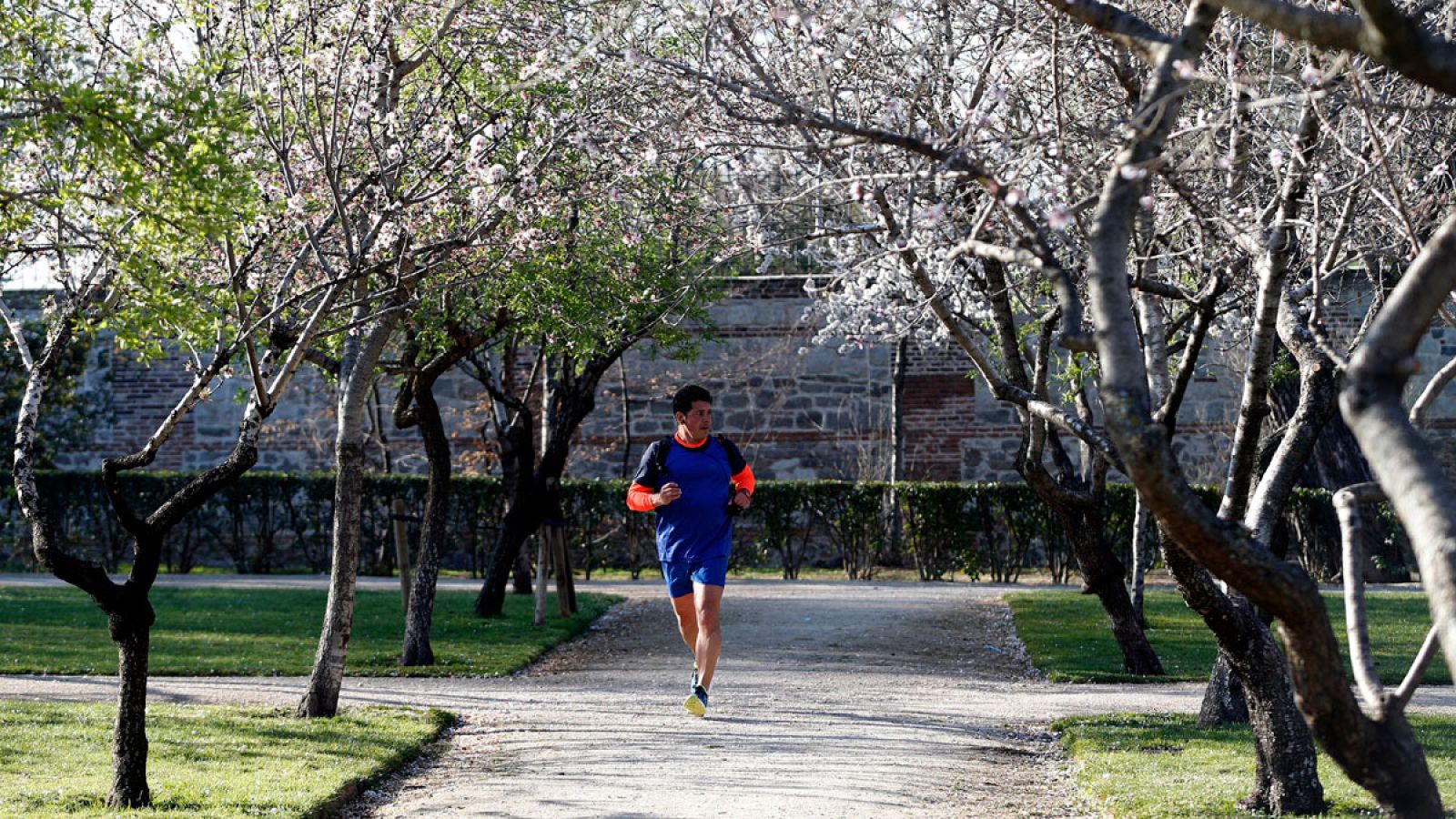 Imagen de un parque madrileño