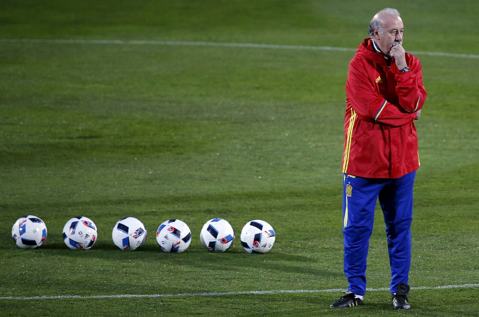 El seleccionador nacional de fútbol, Vicente del Bosque.