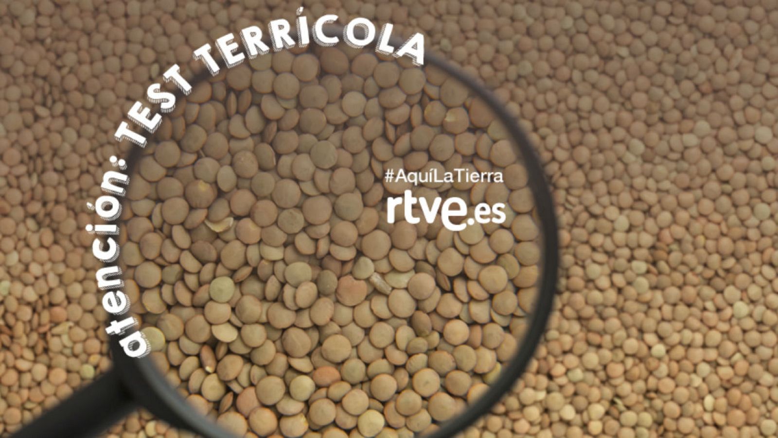 Aquí la tierra - Test platos de España