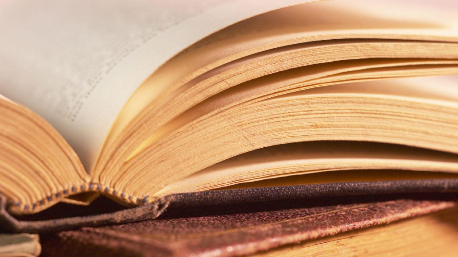 Los libros, los protagonistas de la Semana de las Letras