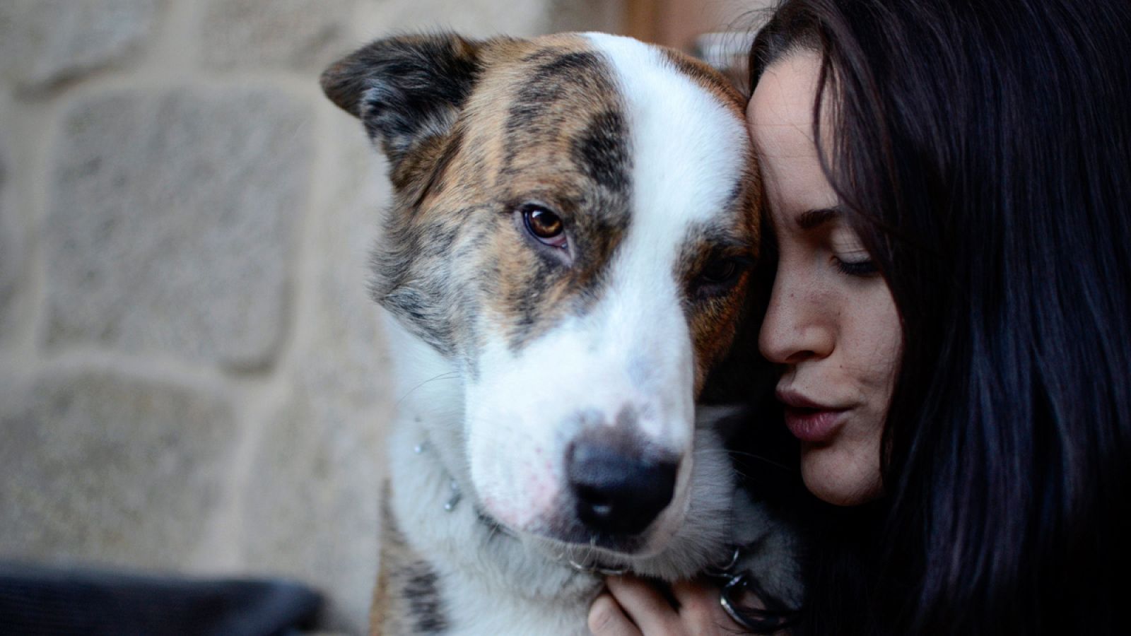 Los perros a veces son los "más consentidos" de la casa.