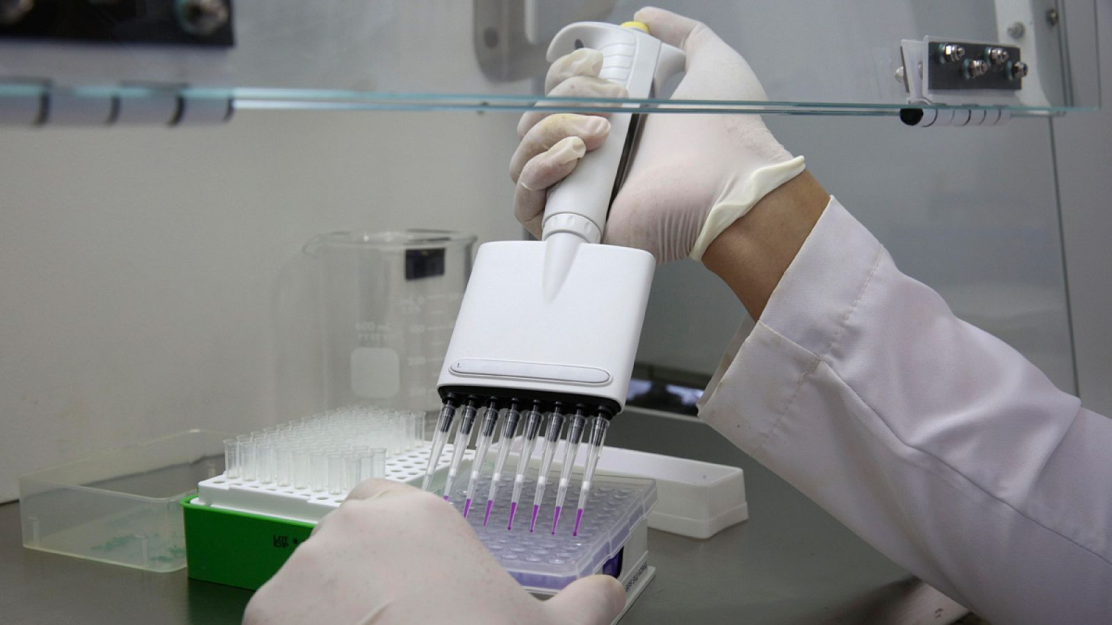 El informe de IUNE analiza 74 universidades españolas públicas y privadas desde el año 2005 al 2014.