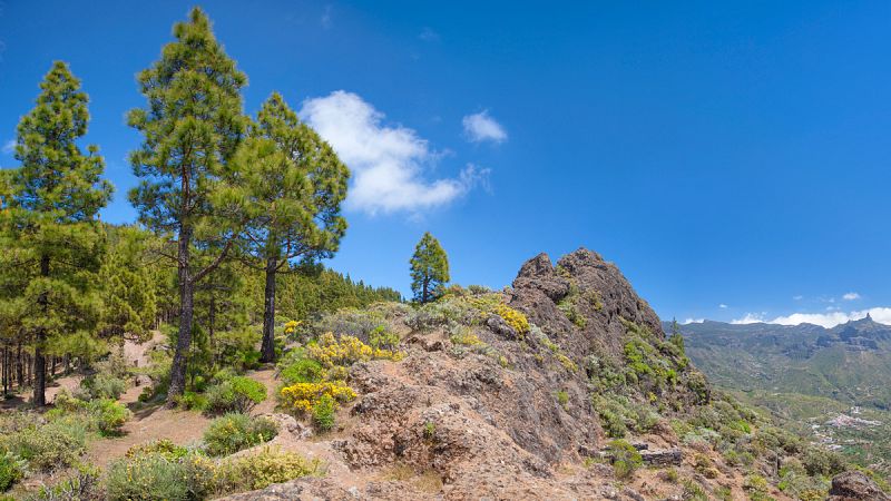 Un hueso de cabra podría llevar a Humiaga, el templo perdido de los antiguos canarios