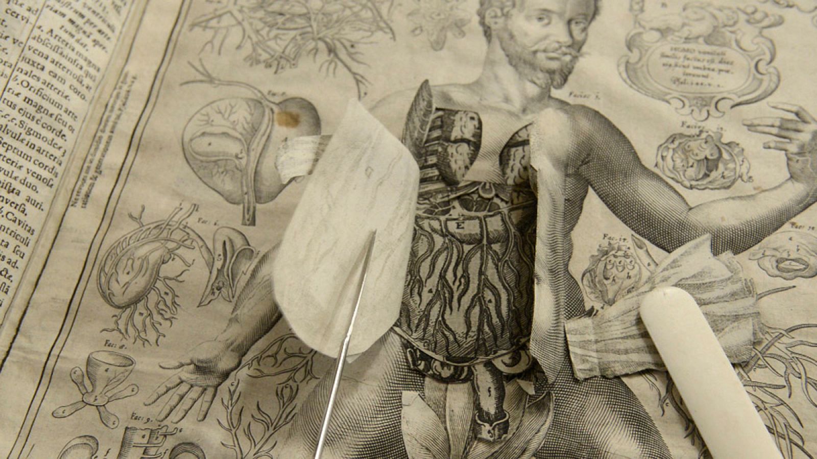 Catoptrum microcosmicum, de Johann-Remmelin (1613)