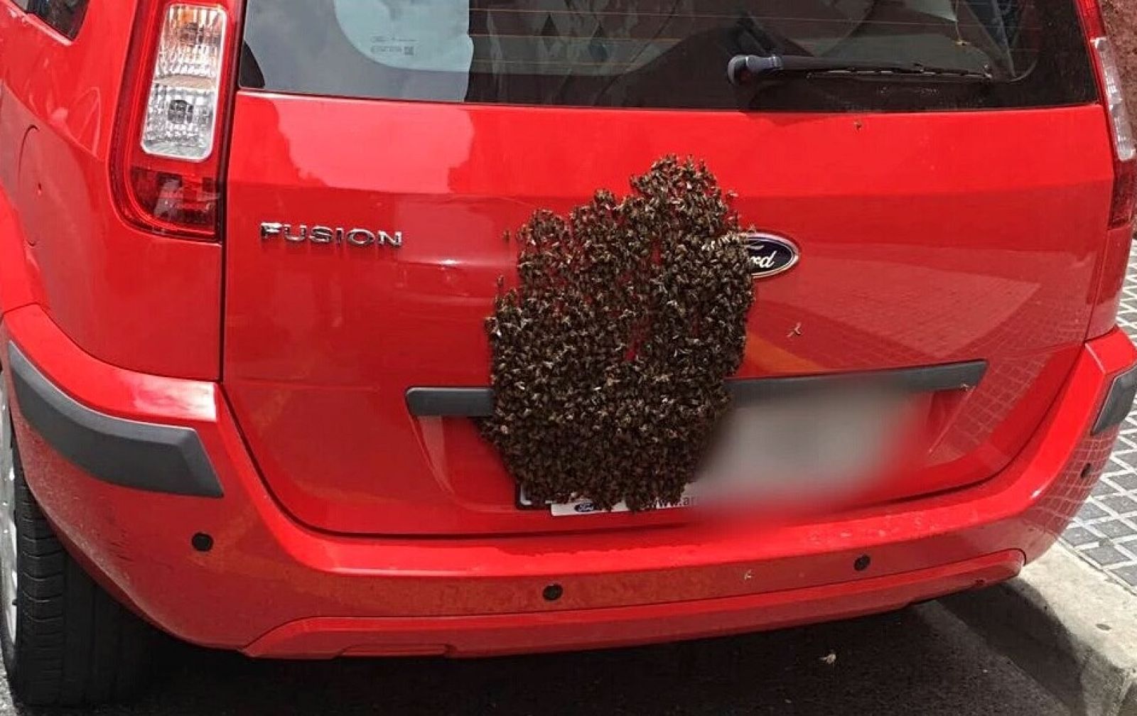 ¿Mi coche o la guagua?