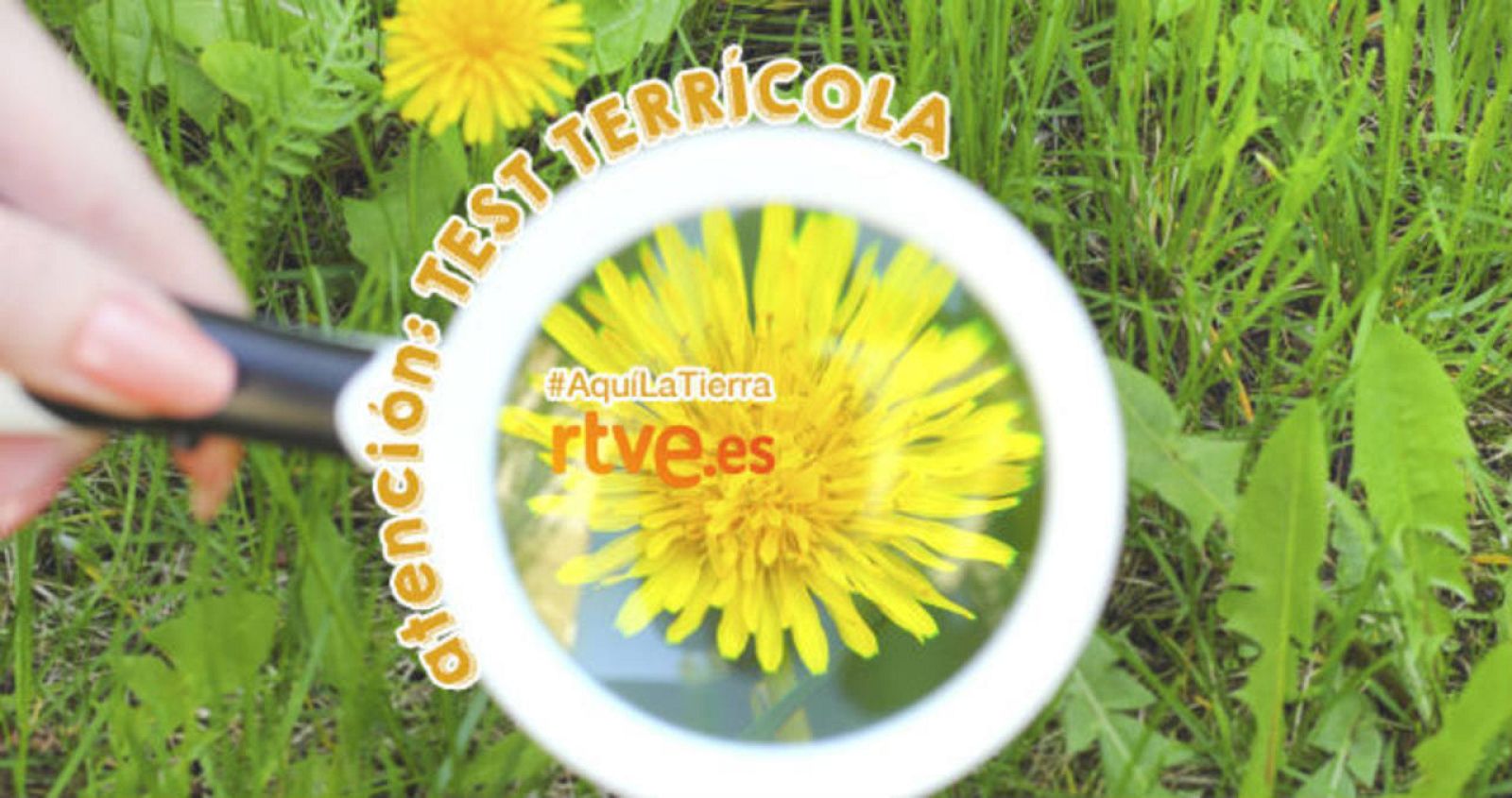 Test de verano - Aquí la tierra