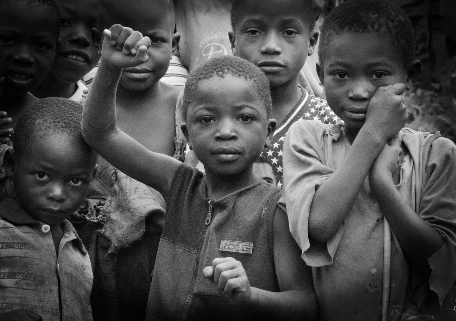 'Cuando los elefantes luchan'