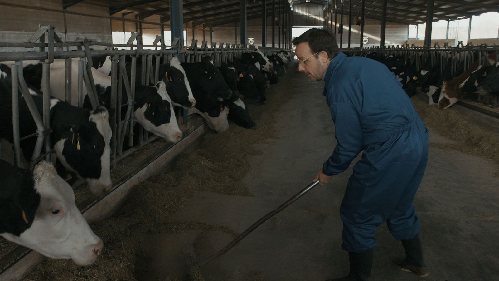 Ángel Llàcer vivirá una jornada laboral en una vaquería
