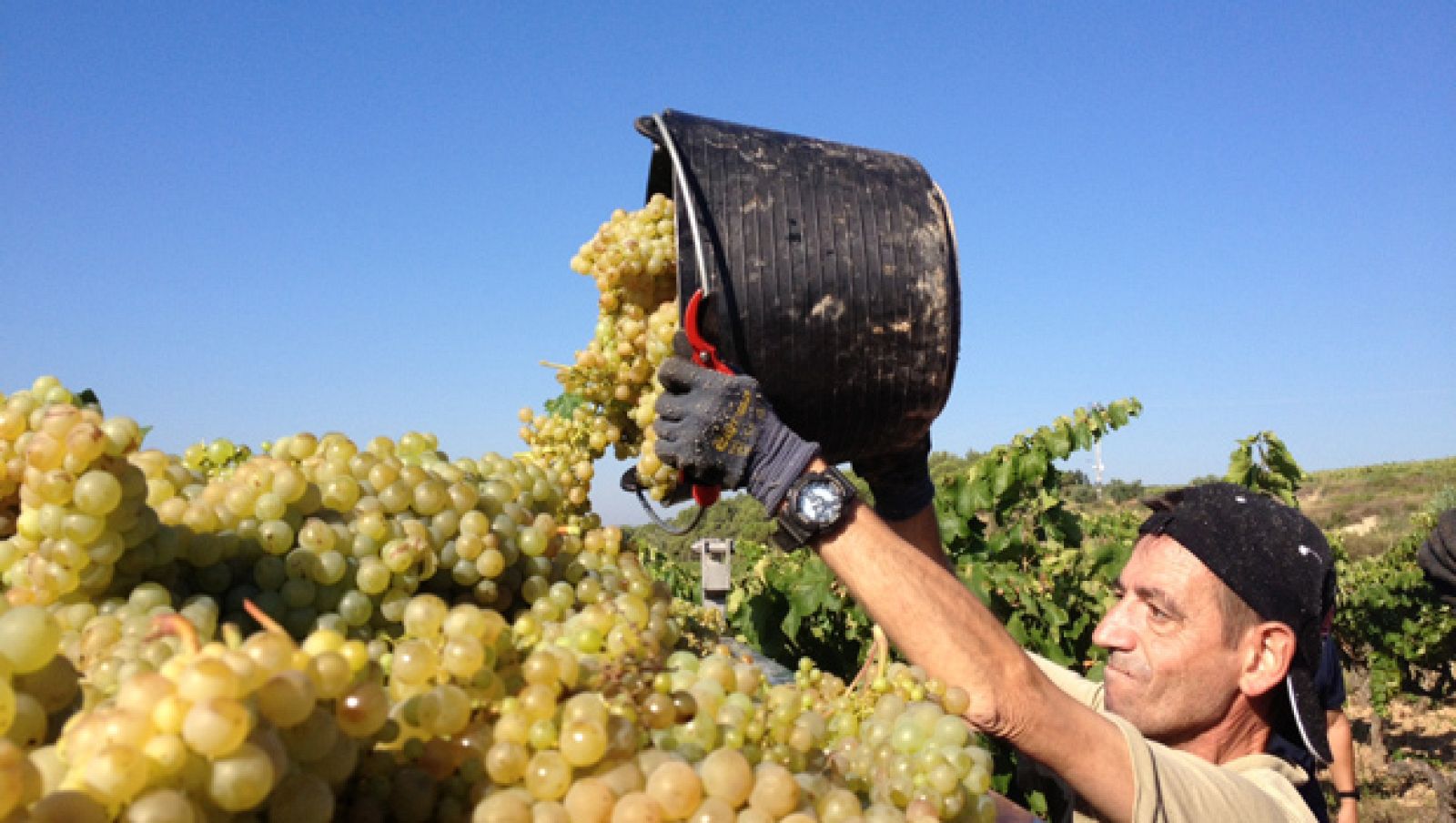 premsa---entre-vinyes-verema