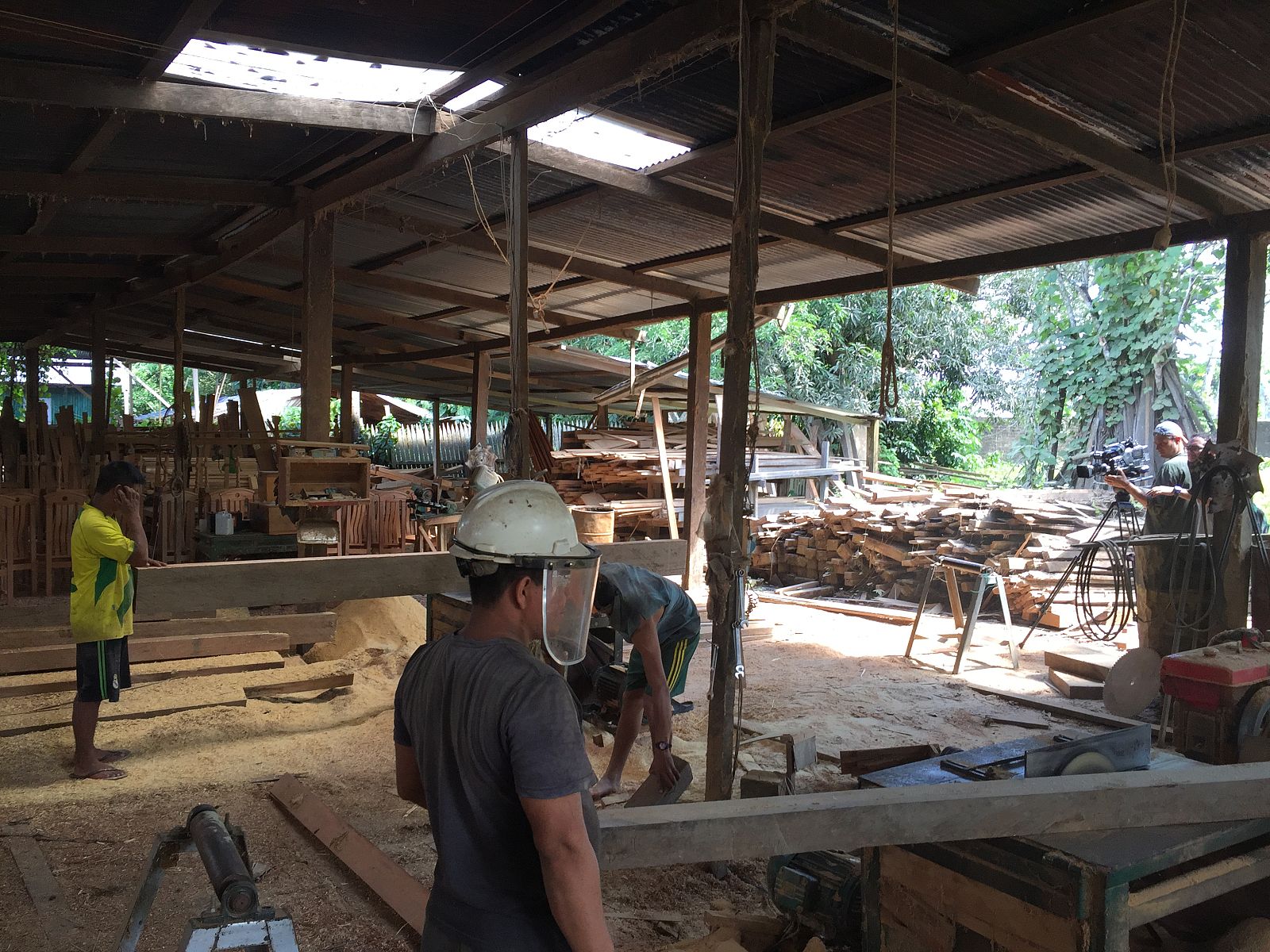 Sepahua, la madera de la casa común NOTICIA