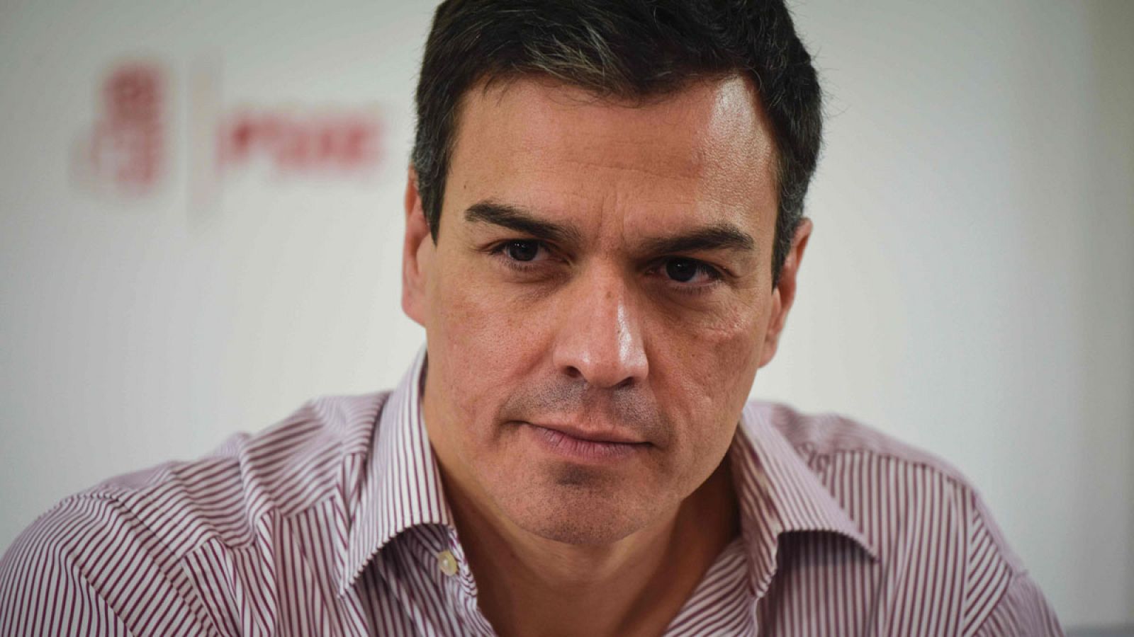 El líder del PSOE, Pedro Sánchez, durante un comité federal de los socialistas