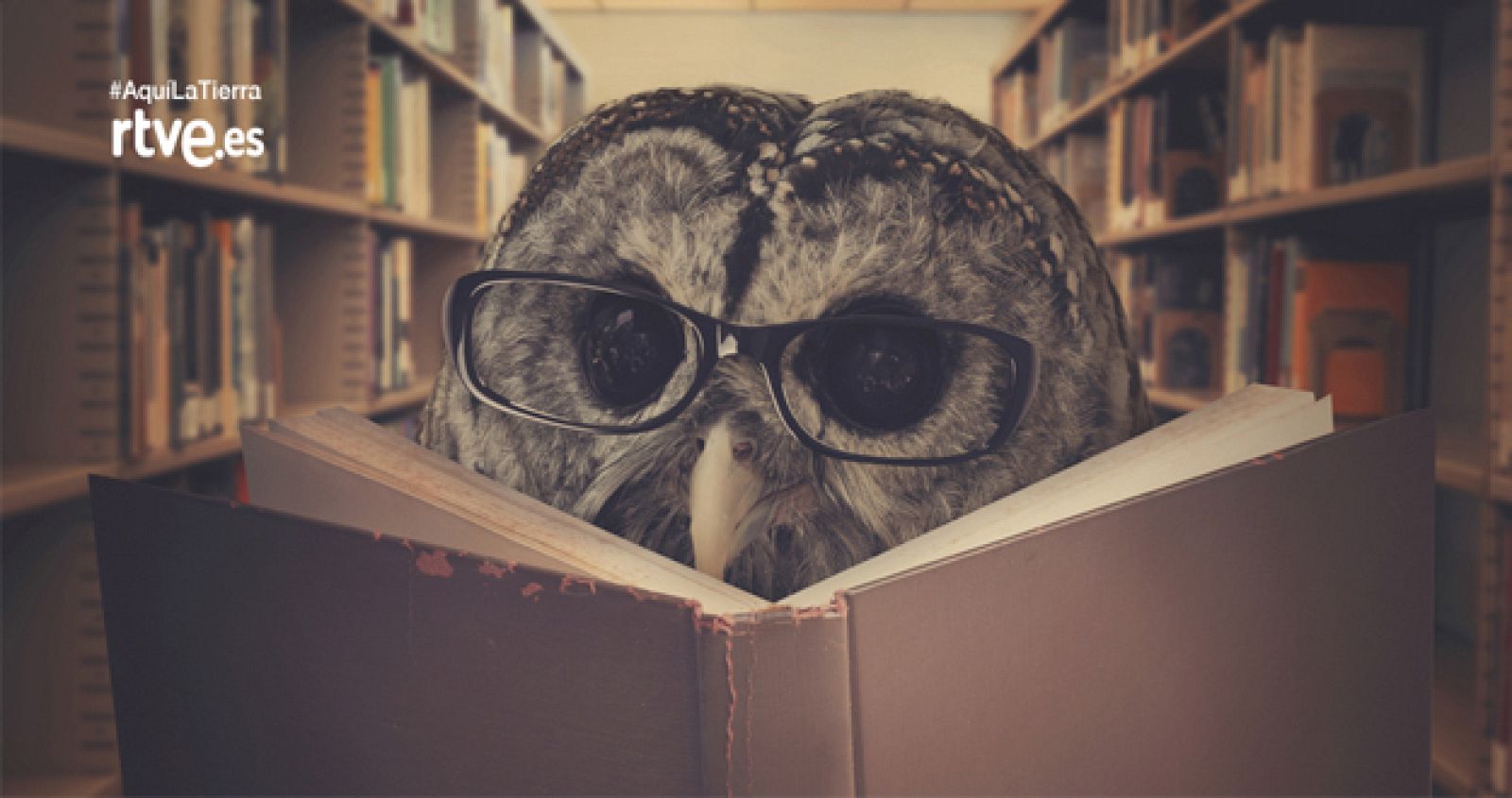 ¿Cuánto sabes sobre los animales?