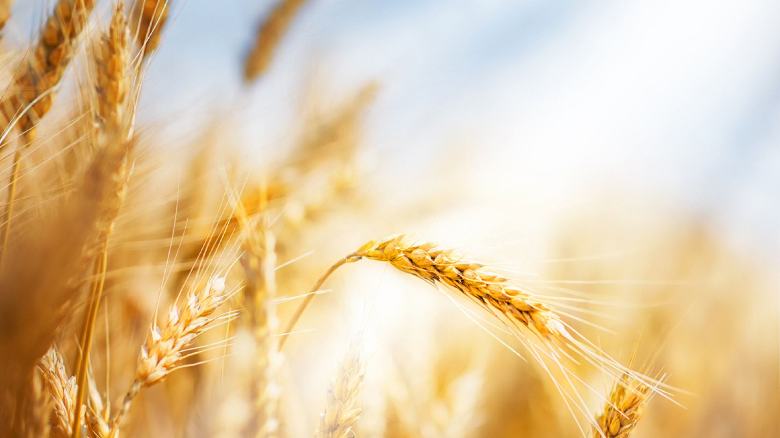 La transición de cazadores-recolectores a la agricultura sedentaria se produjo en el Neolítico.
