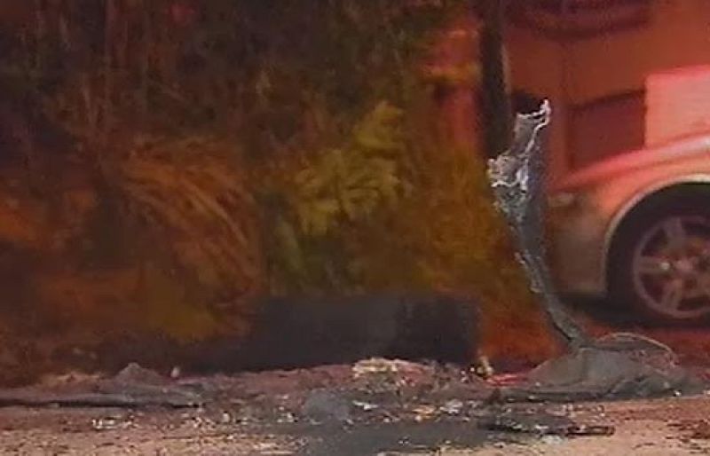 Queman un coche de la Diputación Foral de Vizcaya en Bilbao