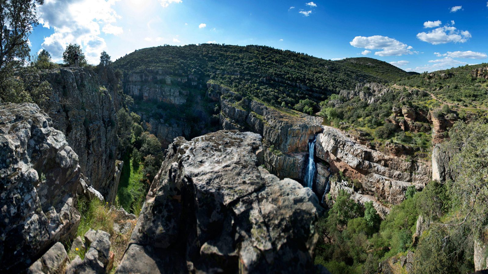 El 36,7% de la superficie total de España está ocupado por bosques.