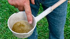 Florida registra los cuatro primeros casos de zika contagiados por picaduras del insecto en EE.UU.