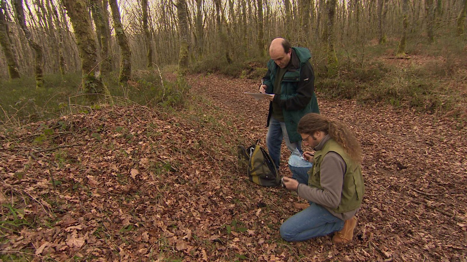 Buscando indicios de lobo cerca de Lugo