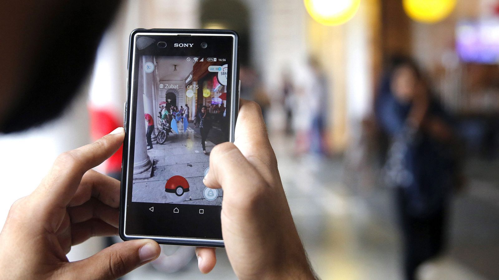 La oferta consiste en convertirse en guía acompañante de grupos por todas las provincias de España.