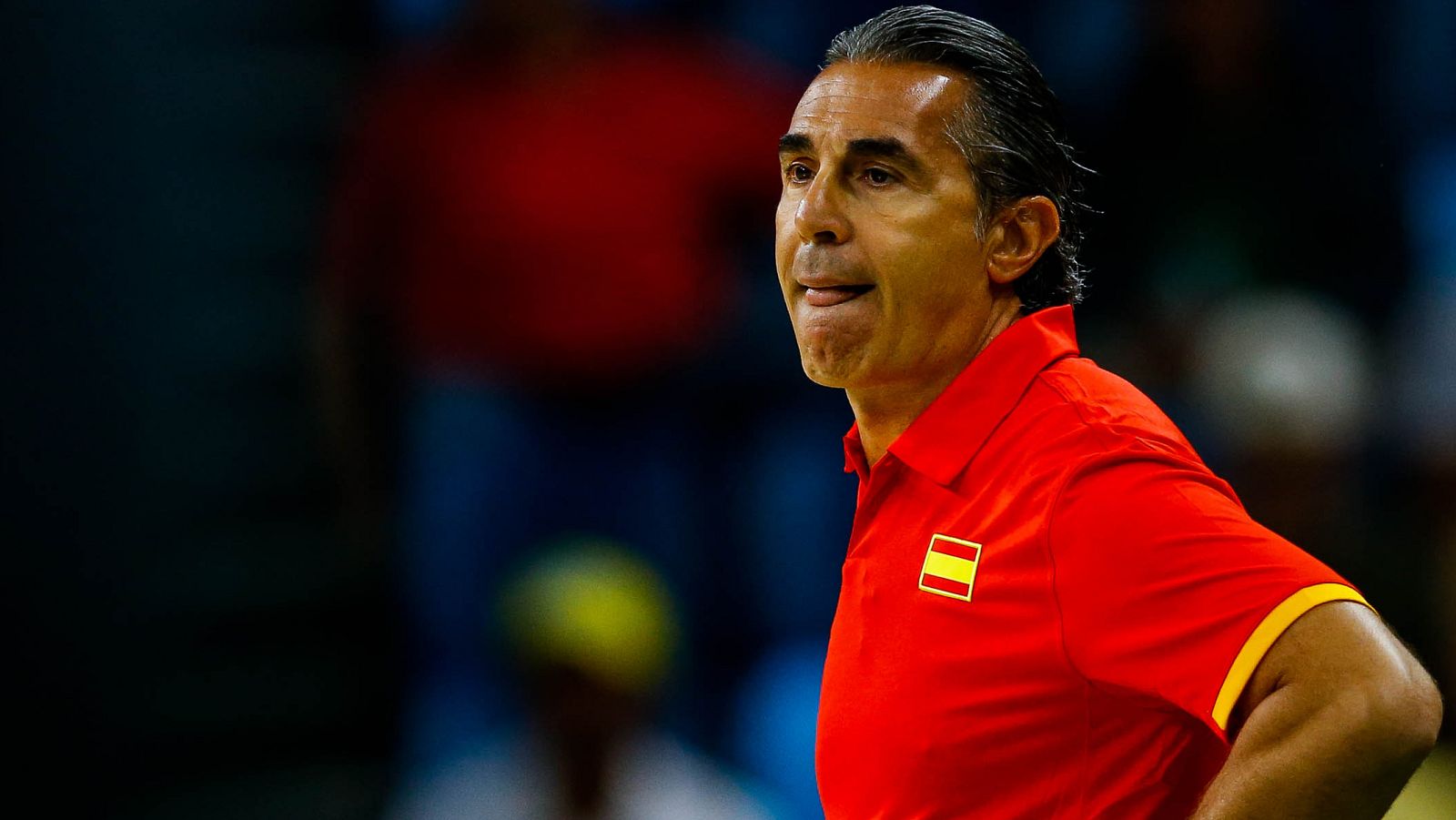 ESPAÃ'A VS. CROACIA