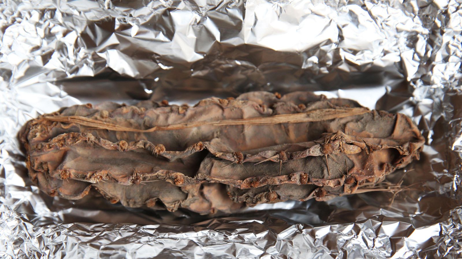 Cactus de 4.000 años de antigüedad hallado en el complejo arqueológico El Paraíso, en Lima (Perú)