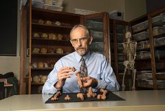 Lucy, el antepasado más famoso del ser humano, murió al caerse de un árbol