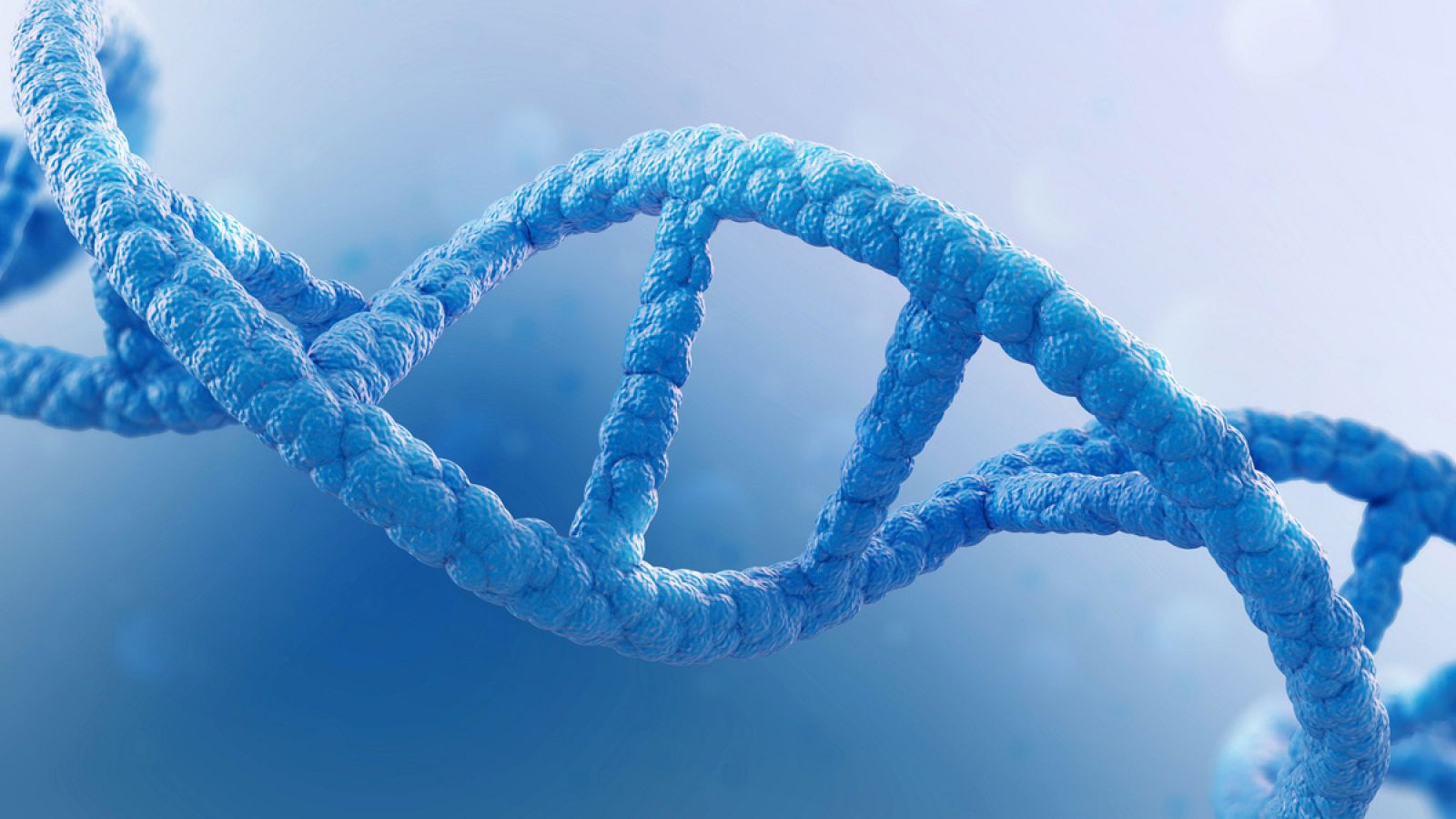 Una molécula de ADN