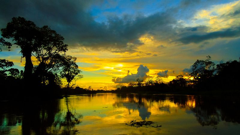 Científicos usarán un dron para intentar desvelar los secretos de las antiguas tribus del Amazonas
