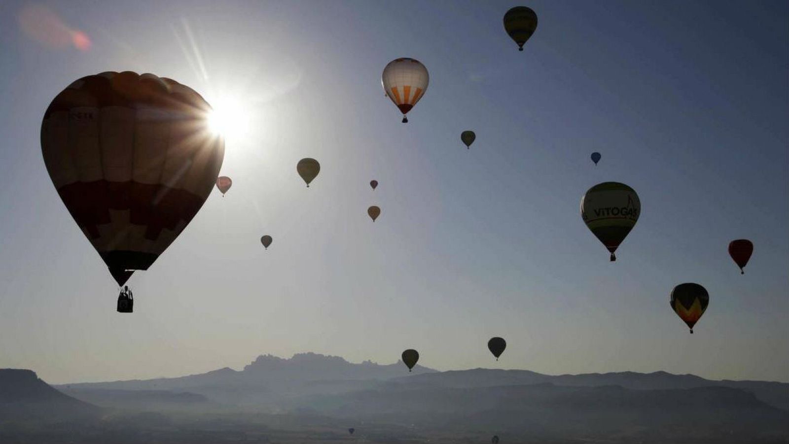 'Memoria de delfín' vuela en globo este lunes
